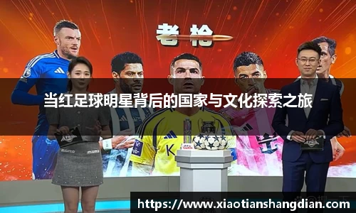 必一运动(B-Sports)官方网站